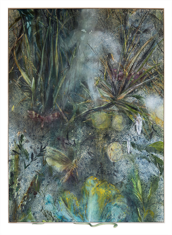 Eyes that see in the dark