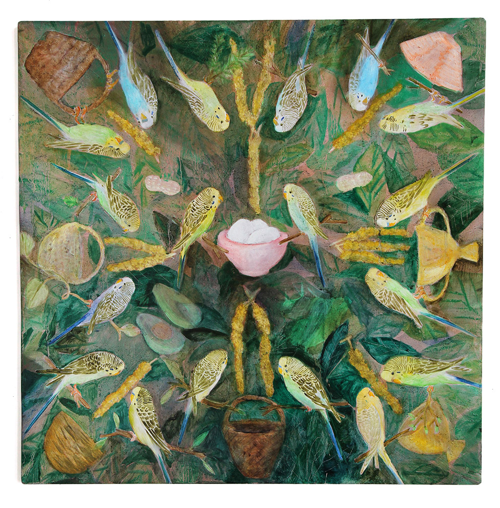 Eighteen Budgies Feasting on Millet